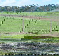 Yea Woodduck Cottage - Great Ocean Road Tourism