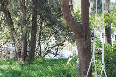 Waters Edge - Great Ocean Road Tourism 5