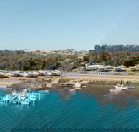 Salt at South West Rocks