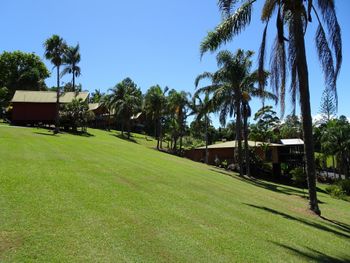 11 Korora Palms 1 Bedroom Bure - Great Ocean Road Tourism 2