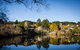 Chestnut Daylesford - thumb 6