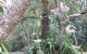 Crabbes Creek Cottages - thumb 5
