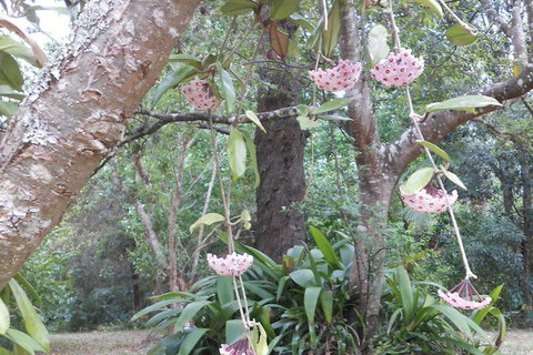 Crabbes Creek Cottages - Great Ocean Road Tourism 5