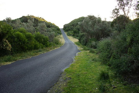 Venus Escapes Guesthouse - Great Ocean Road Tourism 2