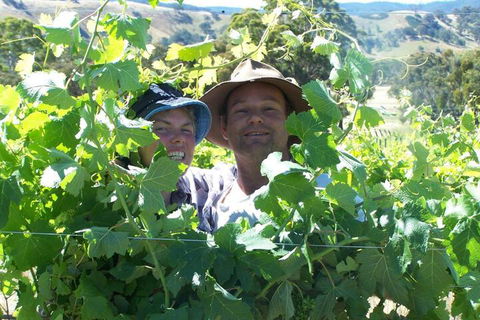 Wimmera Hills Winery - Great Ocean Road Tourism 2