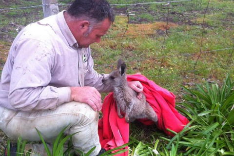 Wimmera Hills Winery - Great Ocean Road Tourism 7
