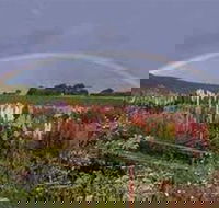 Boat Harbour Garden Cottages - Great Ocean Road Tourism