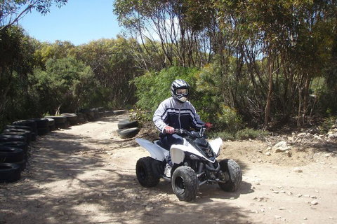 Koopalanda Dreaming - Great Ocean Road Tourism 7