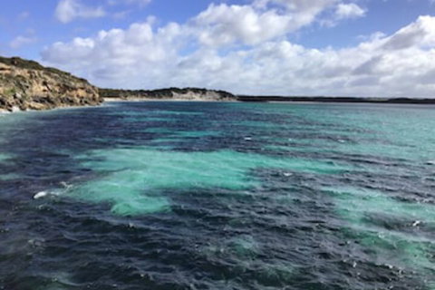 Koopalanda Dreaming - Great Ocean Road Tourism 0