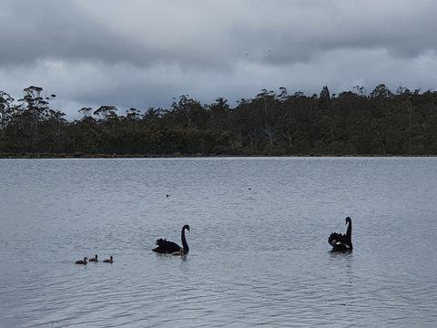 Lake Yalleena Nature Retreat - Great Ocean Road Tourism 0