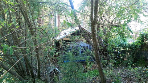 The Black Cockatoo Nannup - Great Ocean Road Tourism 1