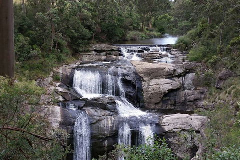 Toora Lodge Motel - Great Ocean Road Tourism 2