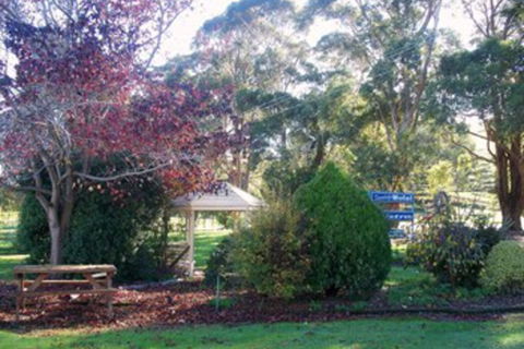 Toora Lodge Motel - Great Ocean Road Tourism 0