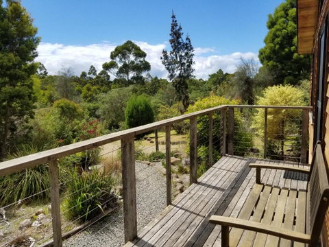 Southern Forest Accommodation - Great Ocean Road Tourism 6
