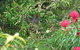 Southern Forest Accommodation - thumb 3