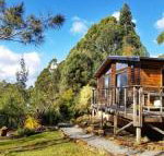 Southern Forest Accommodation - Great Ocean Road Tourism