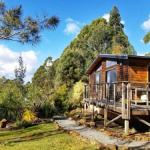 Southern Forest Accommodation - Great Ocean Road Tourism 0