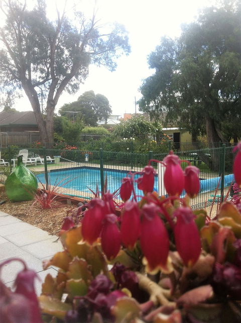 Parkwood Motel And Apartments - Great Ocean Road Tourism 3