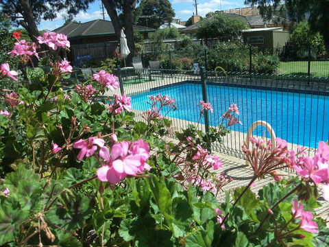 Parkwood Motel And Apartments - Great Ocean Road Tourism 2
