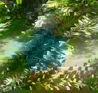 Palm Cove Tropic Apartments - Great Ocean Road Tourism