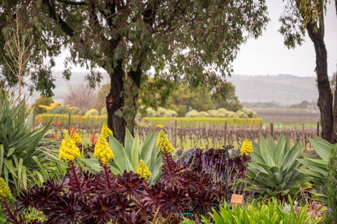 Linger Longer Vineyard Bed & Breakfast - Great Ocean Road Tourism 2