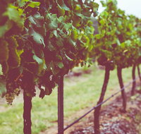 Hermitage Hideaway Homestead  Cottage - Great Ocean Road Tourism