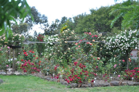 Fairy Wren Cottage Country To Coast Retreat - Great Ocean Road Tourism 6