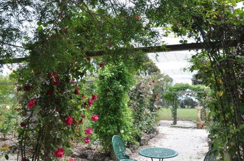 Fairy Wren Cottage Country To Coast Retreat - Great Ocean Road Tourism 1