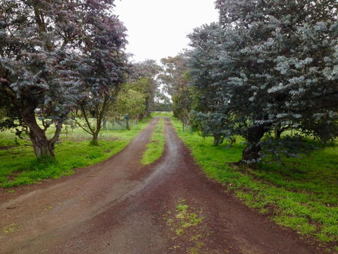 Fairy Wren Cottage Country To Coast Retreat - Great Ocean Road Tourism 4