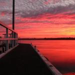 Fairy Wren Cottage Country To Coast Retreat - Great Ocean Road Tourism 0