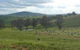 Wantana Cottage Farmstay - thumb 1
