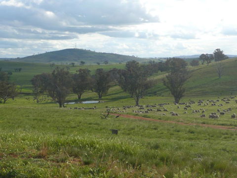 Wantana Cottage Farmstay - Great Ocean Road Tourism 1