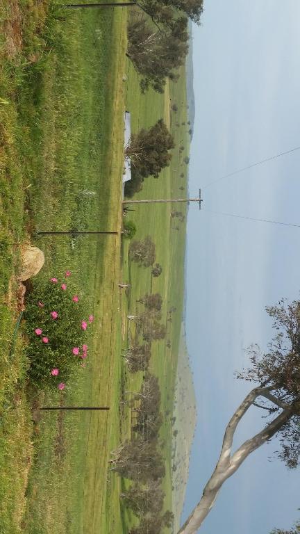 Wantana Cottage Farmstay - Great Ocean Road Tourism 6