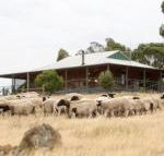 Gilgraves Vineyard Farmstay