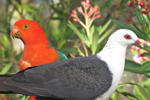 Valley View Luxury Retreat - Great Ocean Road Tourism 5