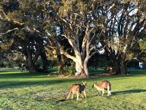 The Boathouse - Great Ocean Road Tourism 4