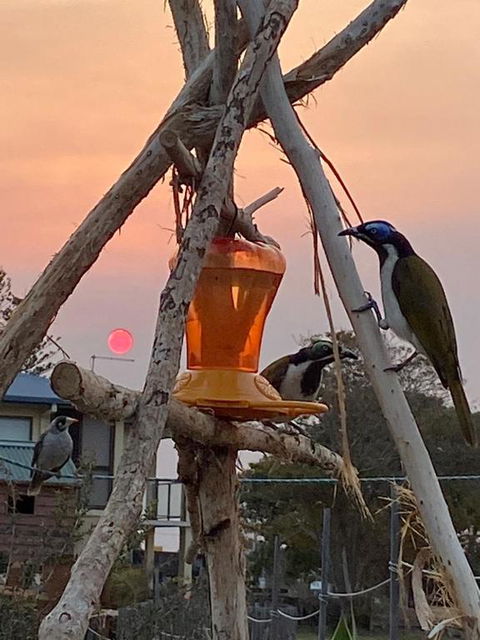 The Boathouse - Great Ocean Road Tourism 6