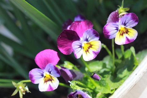 Donnelly House - Great Ocean Road Tourism 2