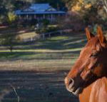 Historic Oak Hill House Estate Truffle Gourmet Festival Region - Great Ocean Road Tourism