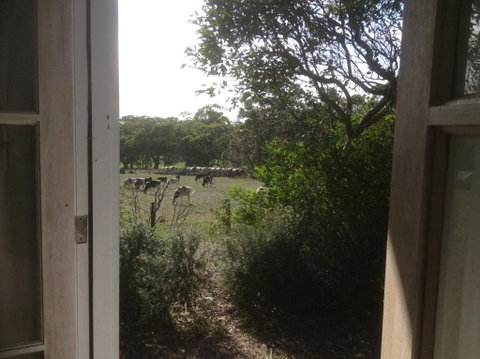 Aashay B & B - Great Ocean Road Tourism 3