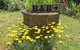 Aashay B & B - thumb 5