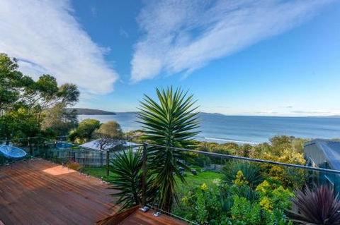 Jacks Nest - Great Ocean Road Tourism 6