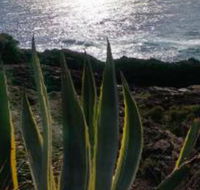 Ven  Marks Place - Great Ocean Road Tourism