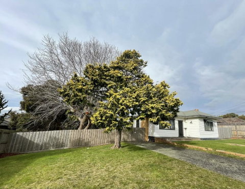 Jettycove Beach House - Great Ocean Road Tourism 1