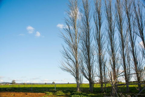 Royal Standard Farm Daylesford - Great Ocean Road Tourism 2