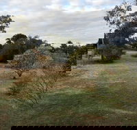 Young Budget Accommodation - Great Ocean Road Tourism