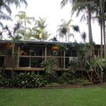 Hidden Oasis Pet Friendly In Anna Bay - Great Ocean Road Tourism 1