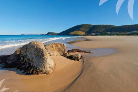 Nautilus - Great Ocean Road Tourism 5