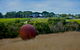 Sunryes Beach House - thumb 6