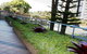 Twin Pines 401 CBD Location - thumb 1